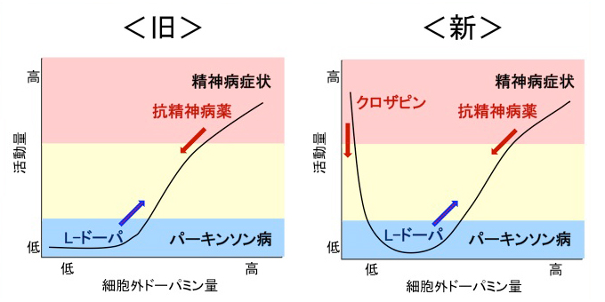 細胞外ドーパミン量と活動量の関係に関する新旧モデル