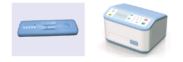 イムノクロマトチップと蛍光イムノクロマト測定装置