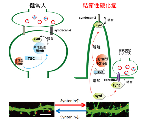 図1