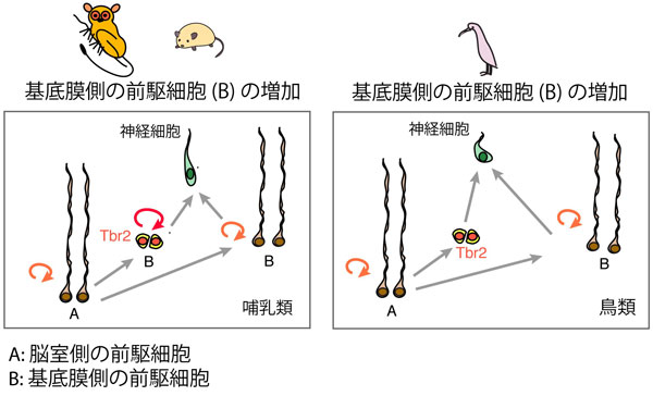 図1