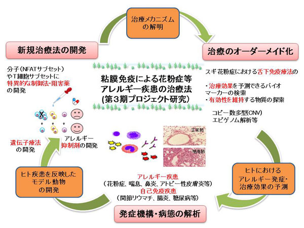 図1 花粉症プロジェクトの研究概要