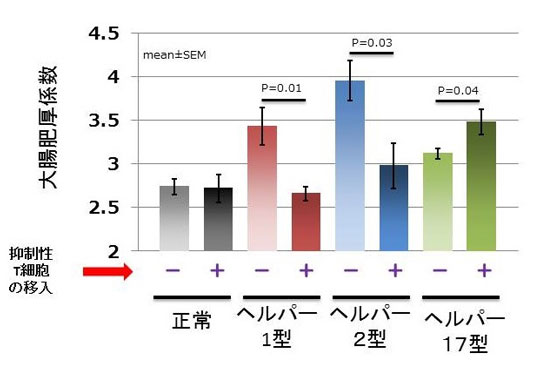 図3 ヘルパーT細胞移入による大腸の肥厚