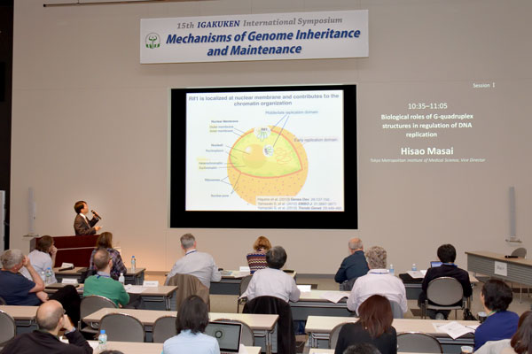 Mechanisms of genome inheritance and maintenance 写真