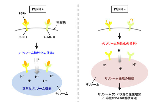 図2