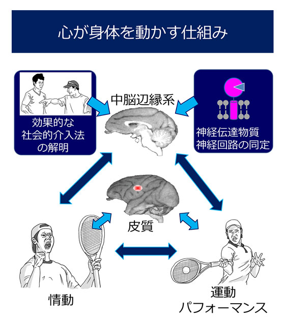 心が身体を動かす仕組み