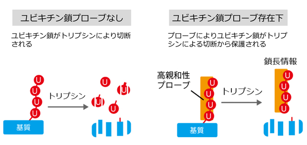 図1