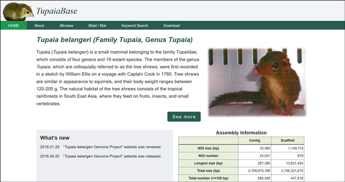 ツパイのゲノムデータベースサイト