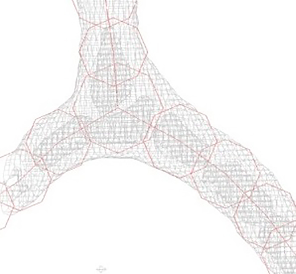 脳の毛細血管をトレースした図を拡大したもの