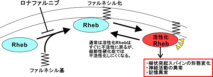 図