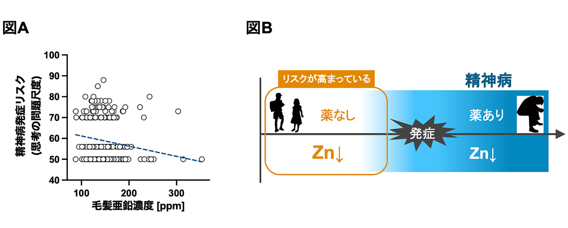 図A、図B