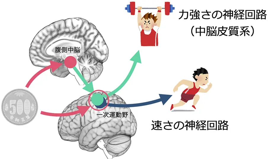 図