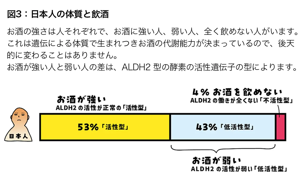 図3.日本人の体質と飲酒