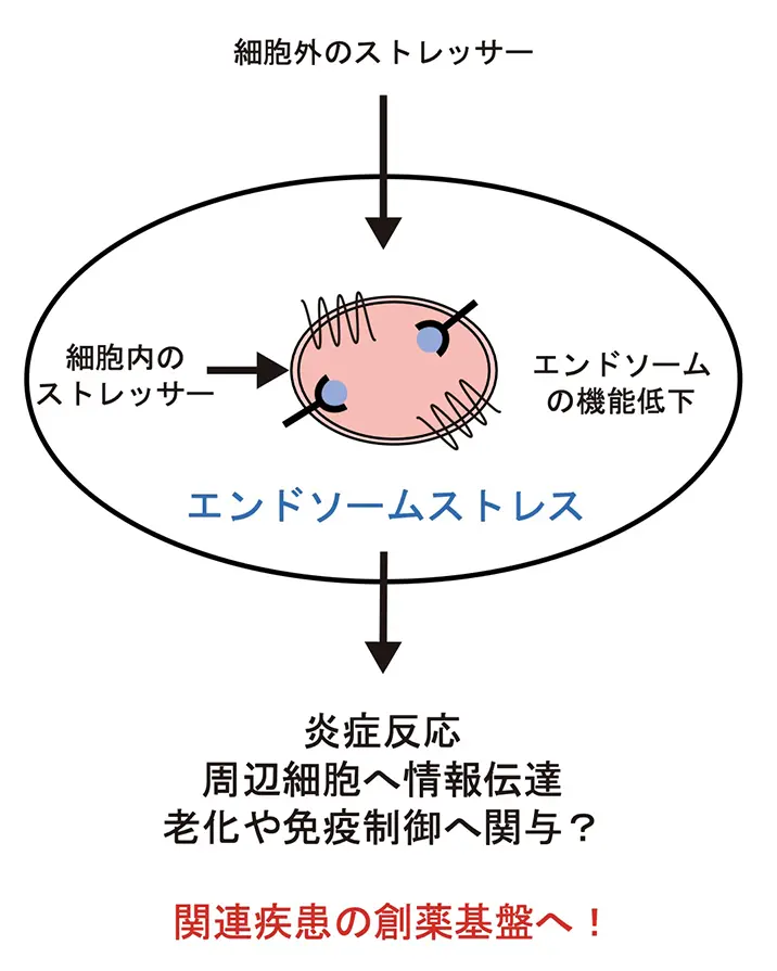 図