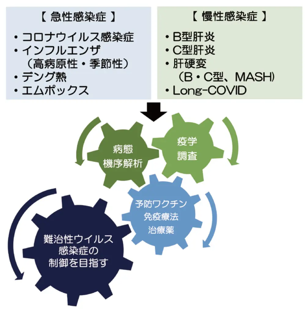 図