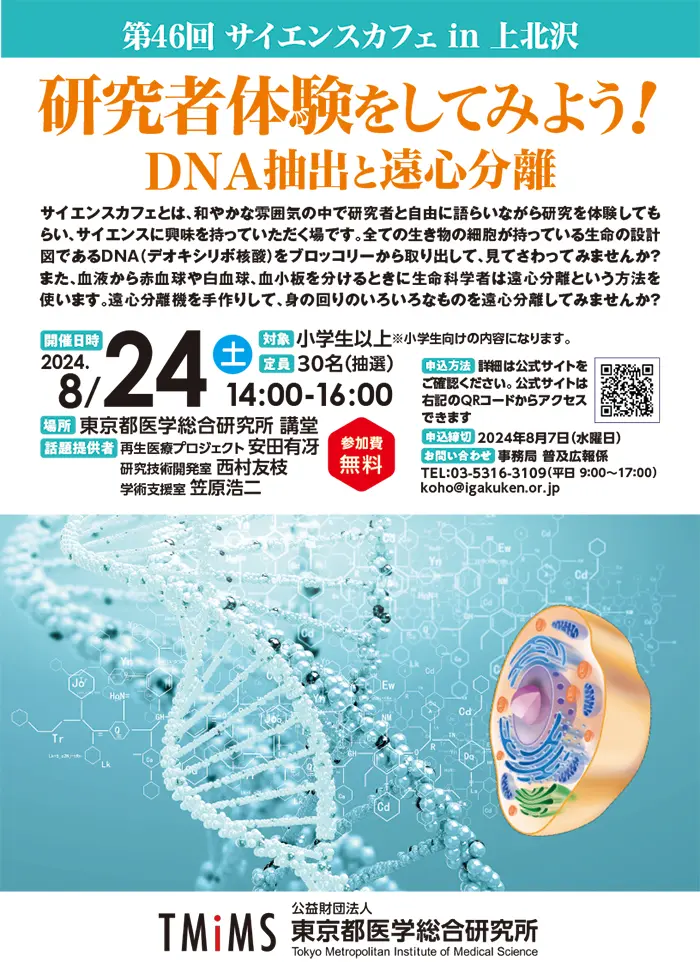 チラシイメージ