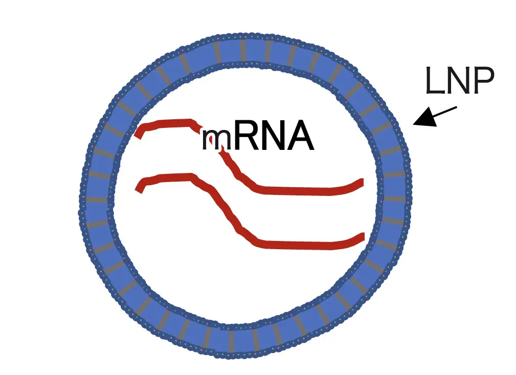図1