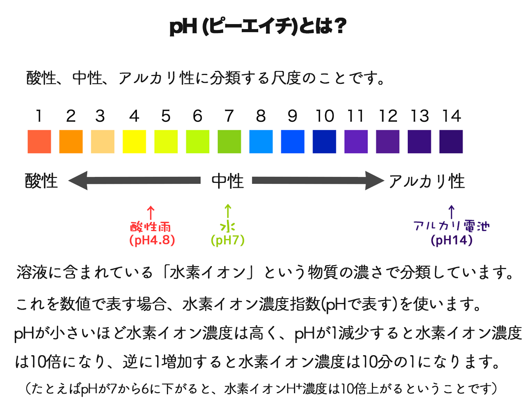pHについて