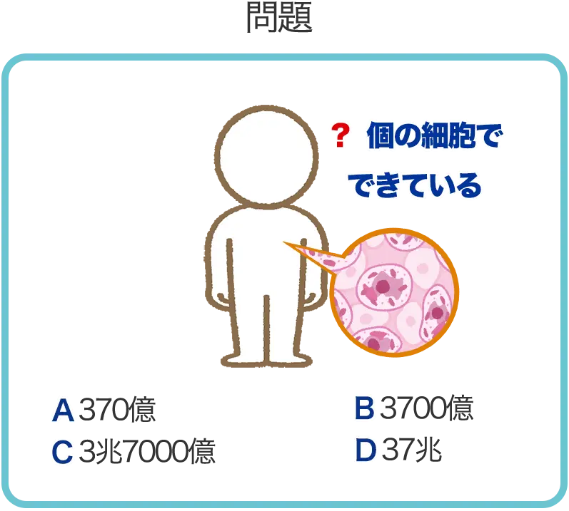 問題1