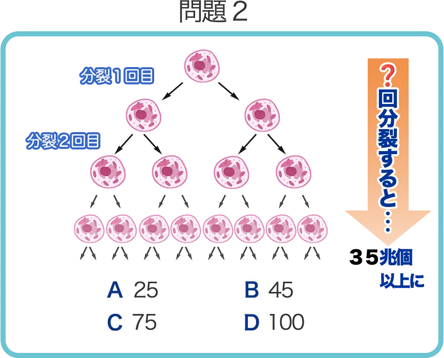 問題2