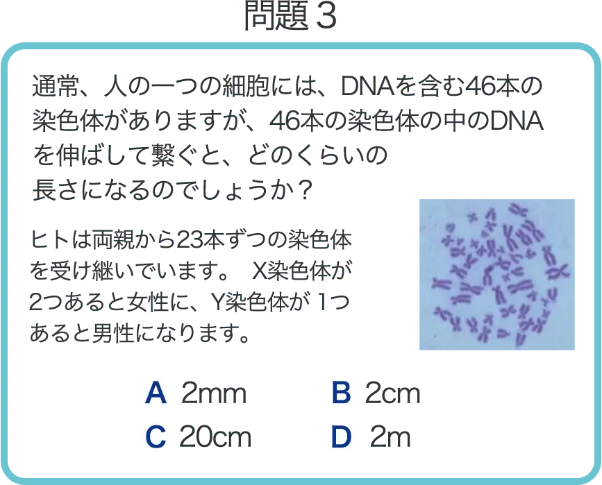 問題3