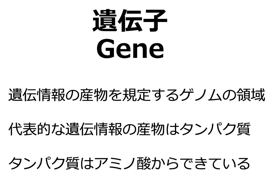 遺伝子とは