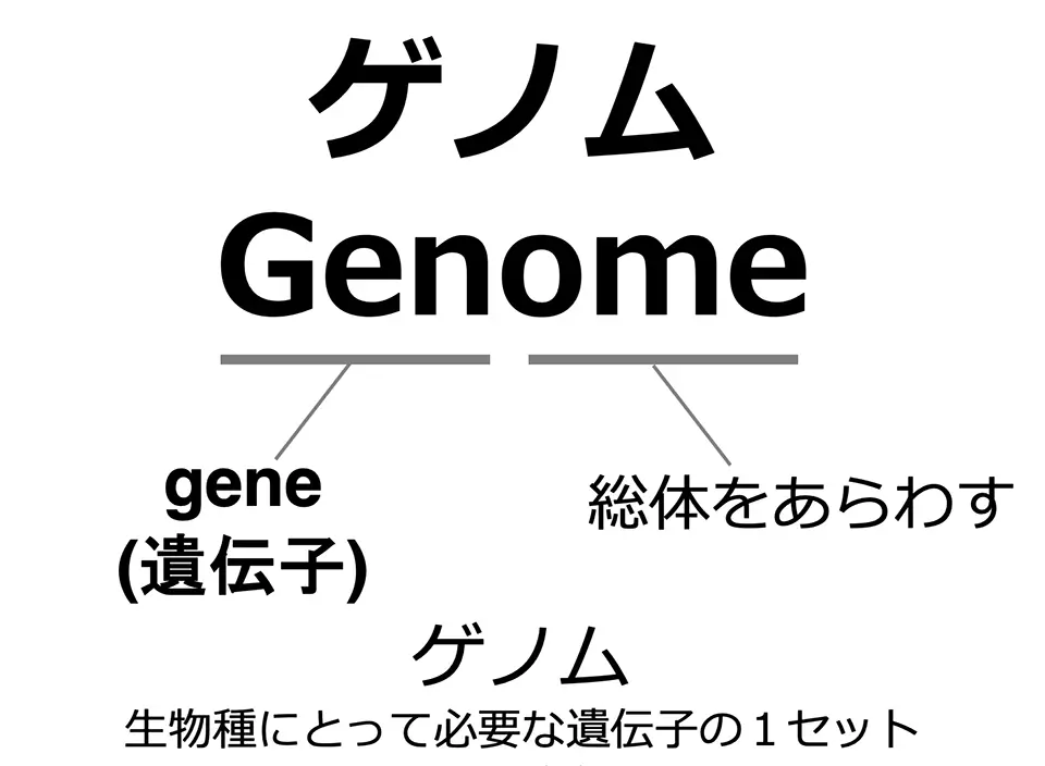 ゲノムとは