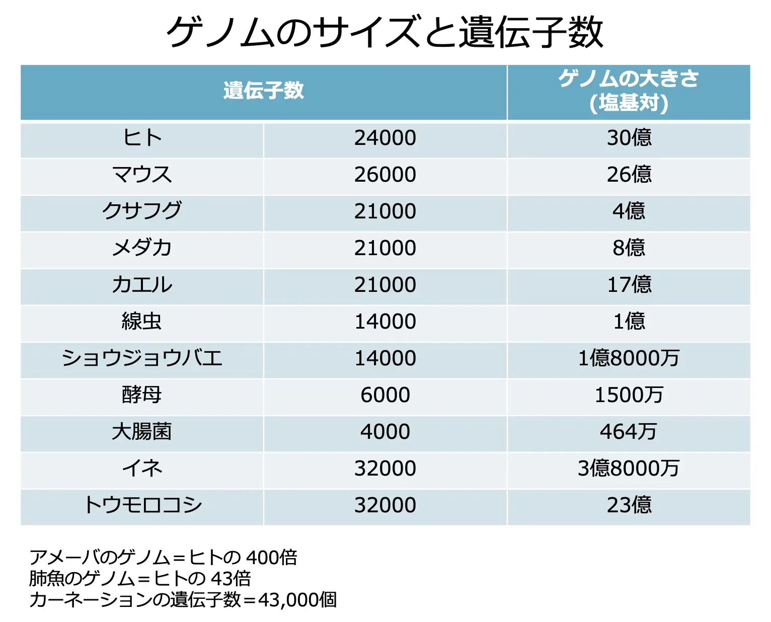 ゲノムのサイズと遺伝子数