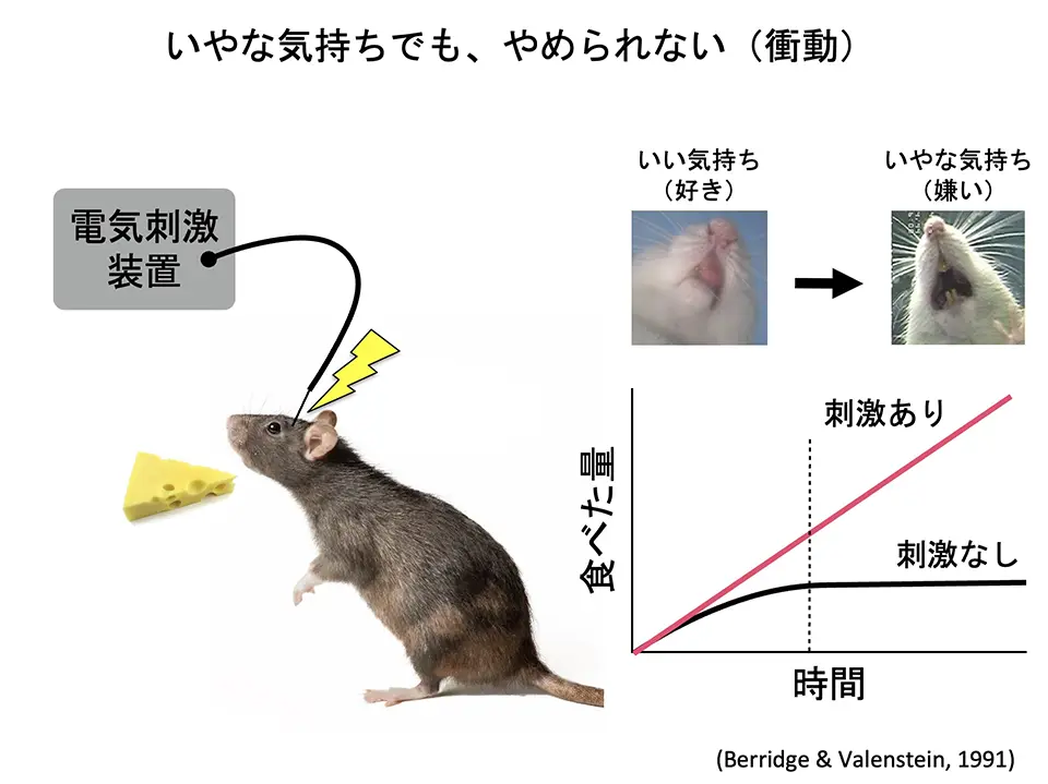 いやな気持ちでもやめられない