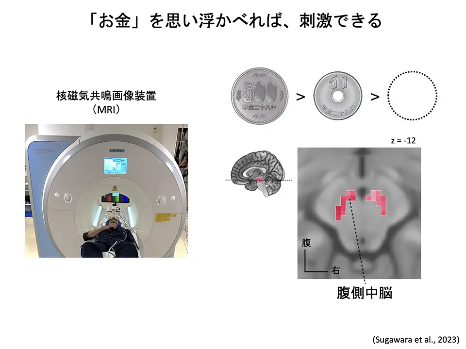 「お金」を思い浮かべれば、刺激できる