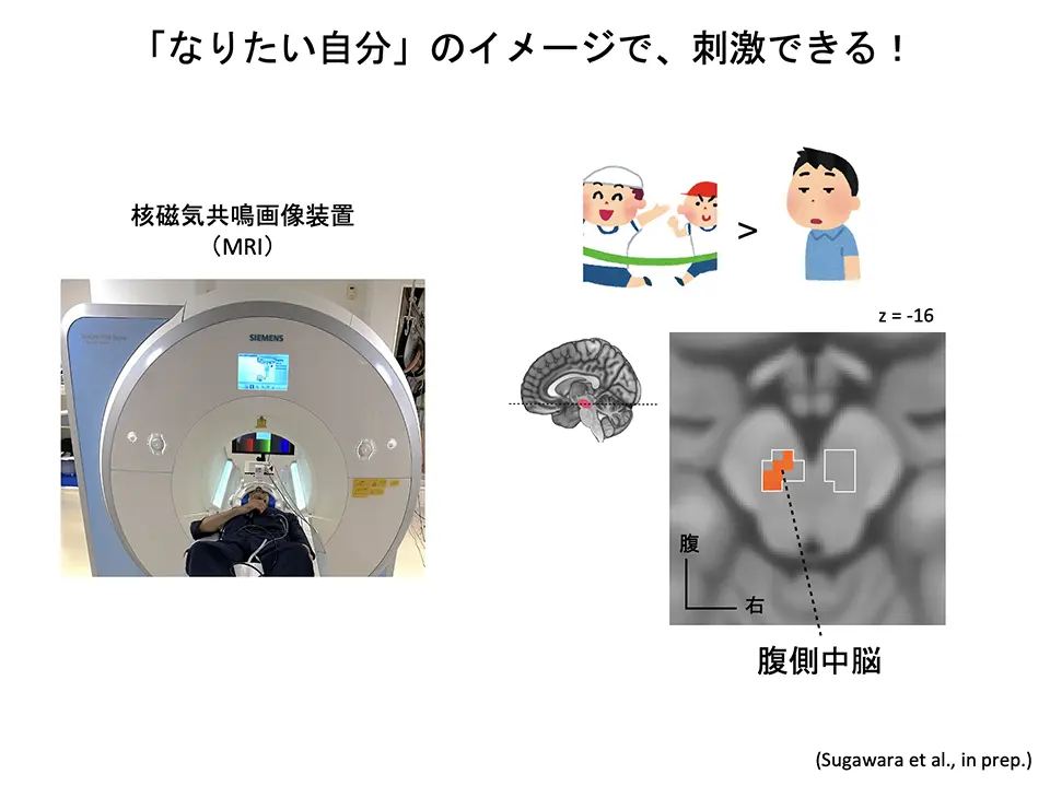 「なりたい自分」のイメージで刺激できる!