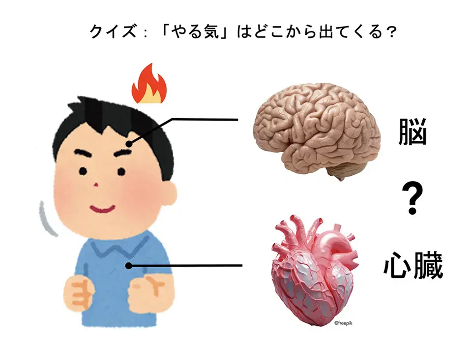 画像（やる気はどこから？）