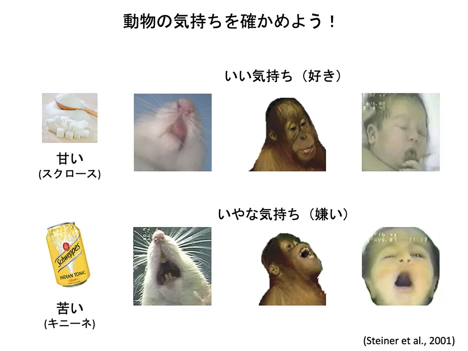 動物の気持ちを確かめよう