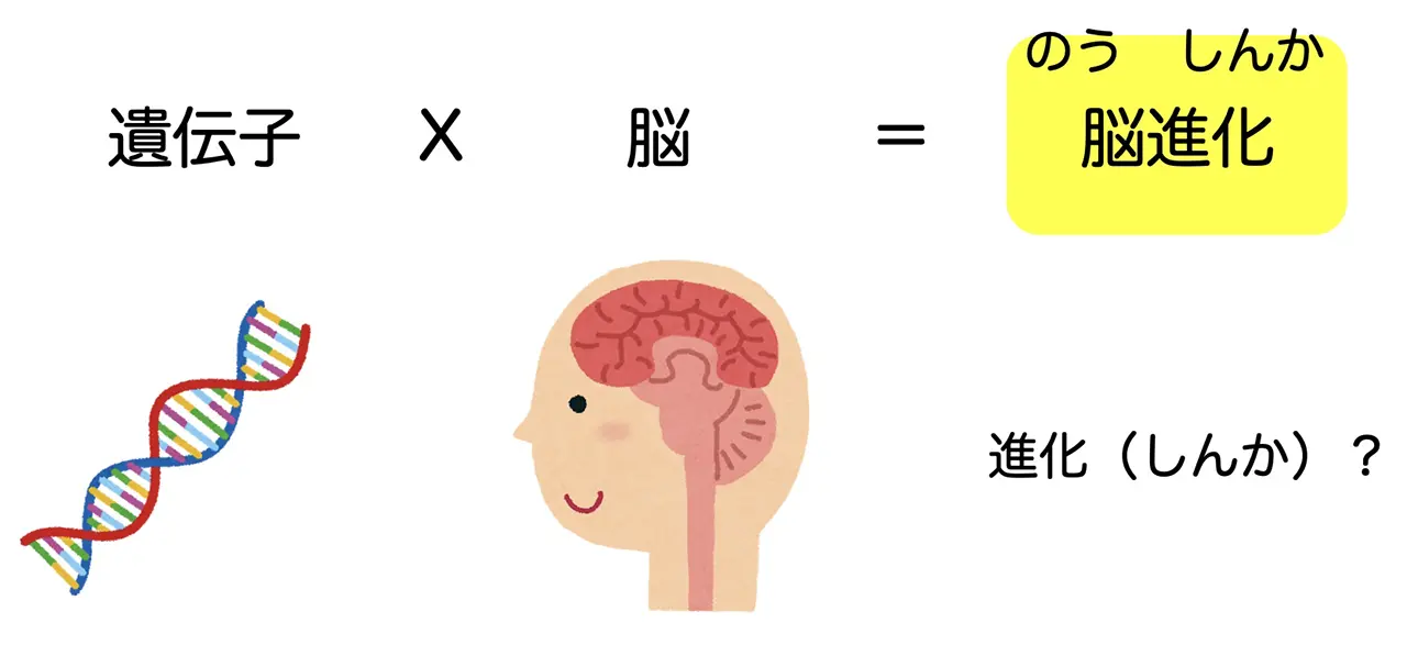 脳進化？