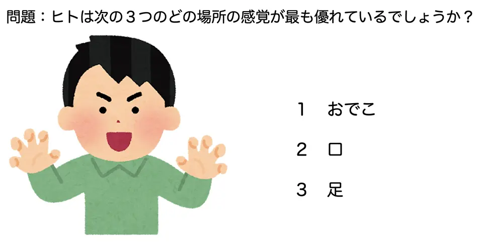 問題：ヒトは次の3つのどの場所の感覚が最も優れているでしょうか？