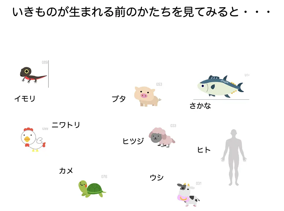 いきものが生まれる前のかたちを見てみると