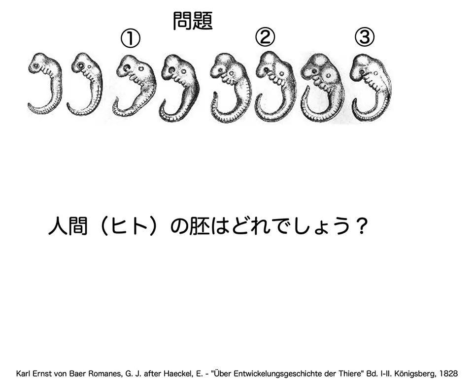 問題