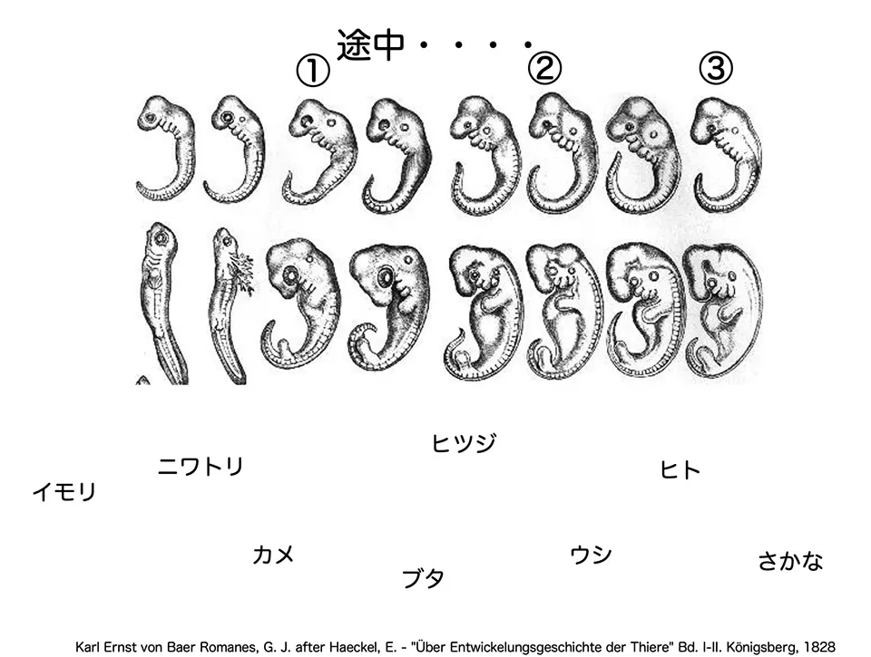 途中・・・