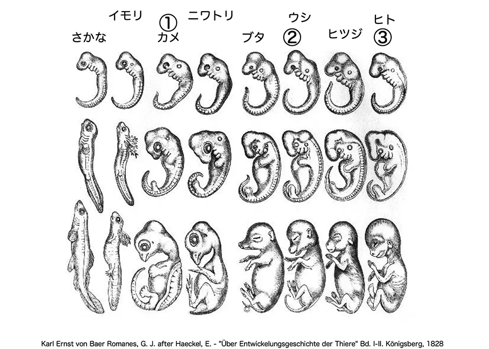 答え