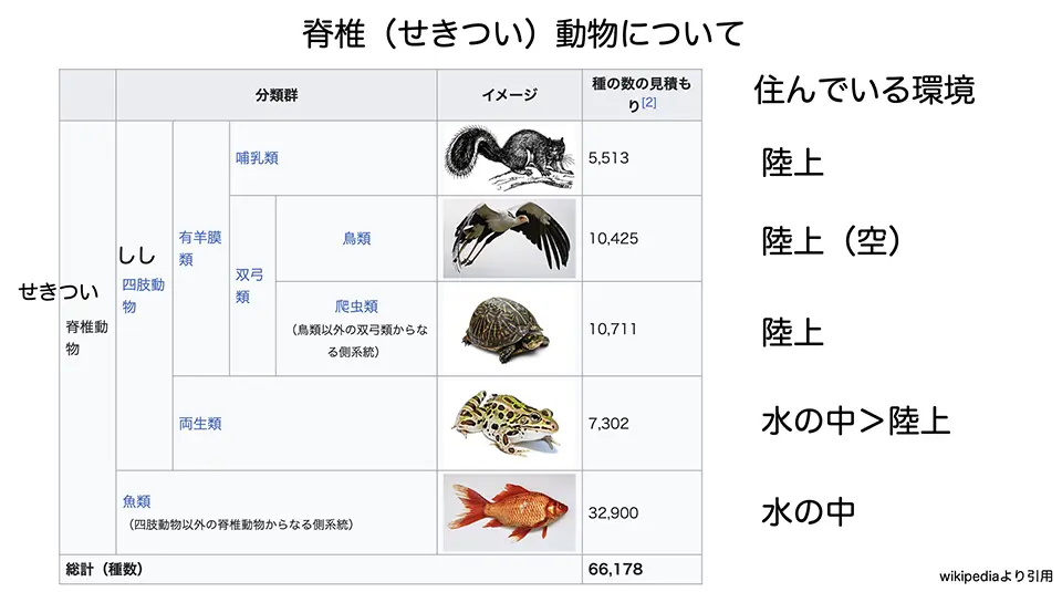 脊椎動物について