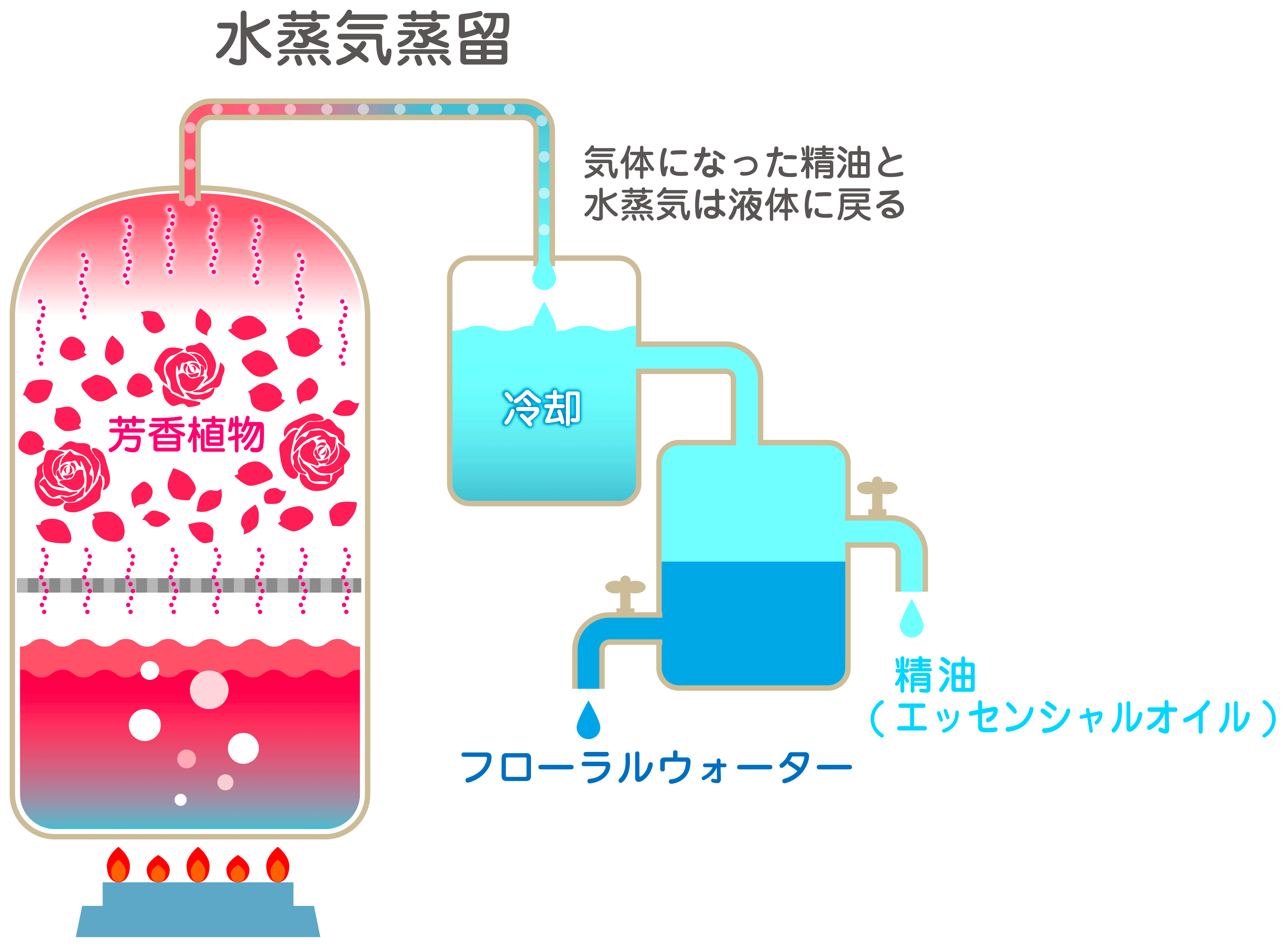 5_水蒸気蒸留