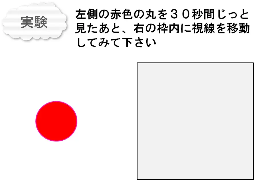 図13_実験（赤丸）