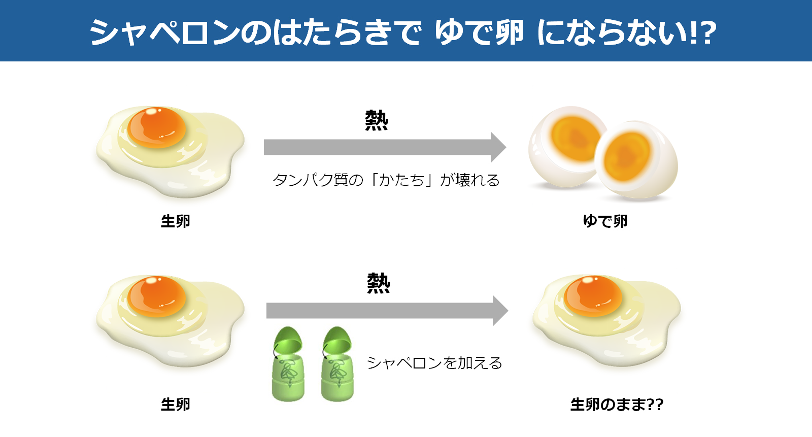 図7_ゆで卵・生卵