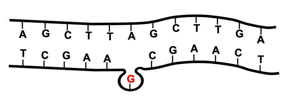 間違った文字を取り込んでしまっても