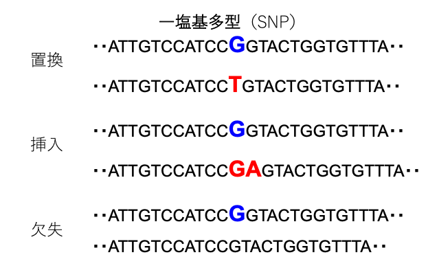 fig1