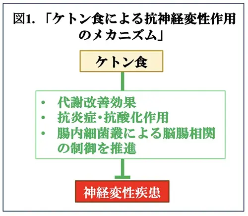 図1.