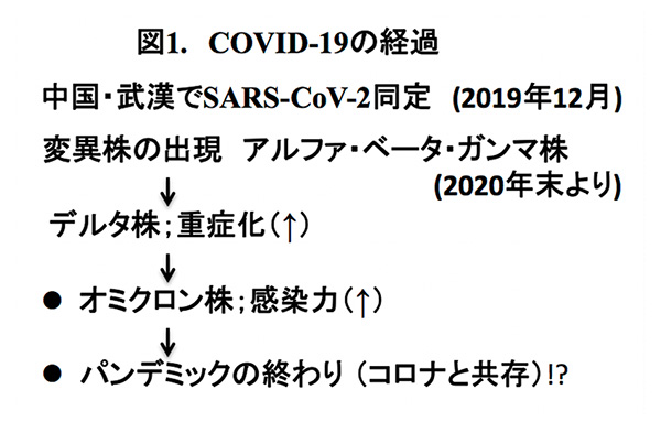 新型コロナウイルスで削除される動画が増える？ パンデミックが促すの変化：動画の世紀（1/2 ページ） - ITmedia NEWS