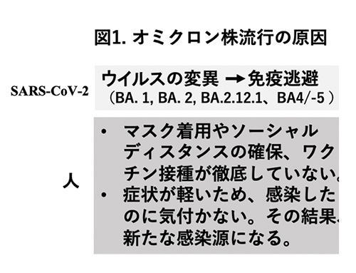 在庫が少なくなってきています