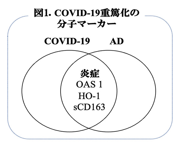 図1.