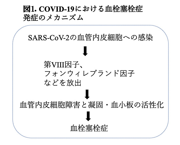 図1.