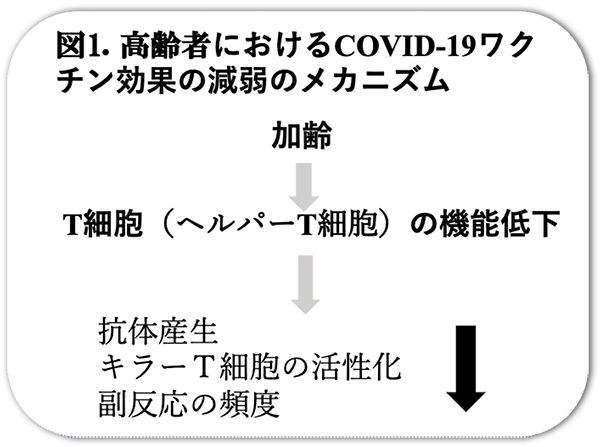 図1.